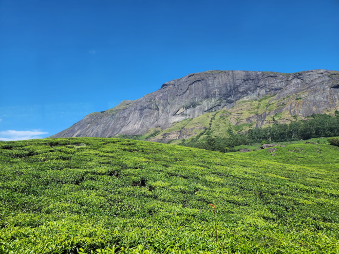 Munnar - The Tea Paradise